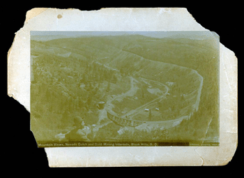 Photo Damage