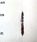 Metal Damage
