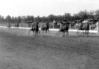 Sulky Races