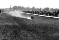 Motorcycle Races